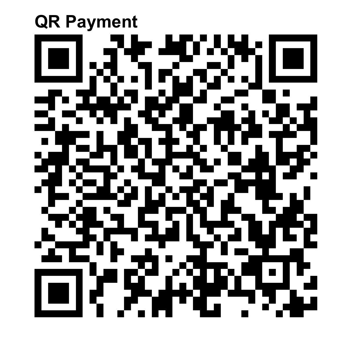 Black and white QR code with the text 'QR Payment' above it.