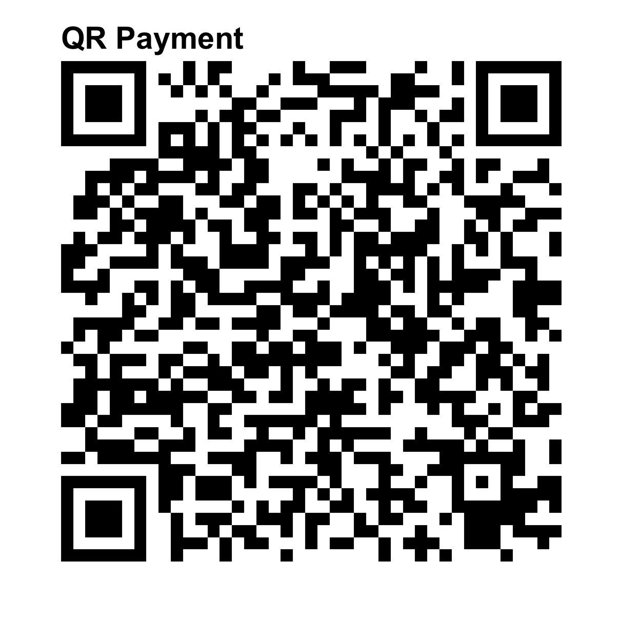 Black and white QR code with the text 'QR Payment' at the top left corner.